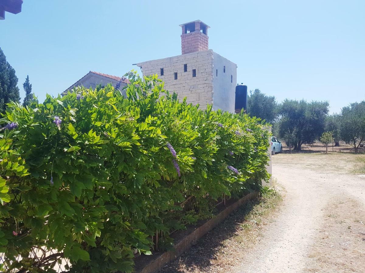 Nena 2 Διαμέρισμα Sukošan Εξωτερικό φωτογραφία